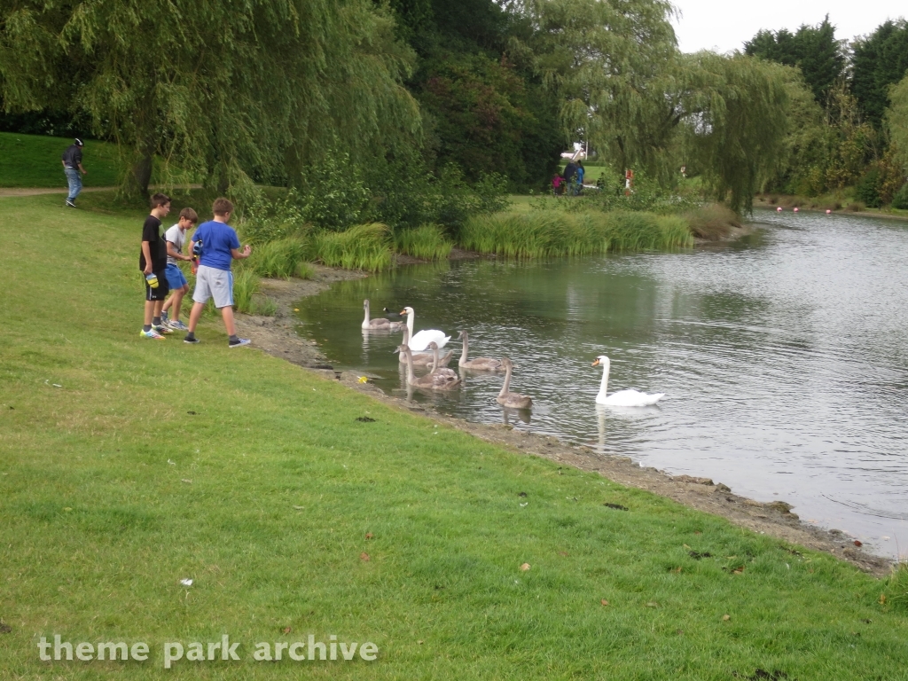 Misc at Lightwater Valley