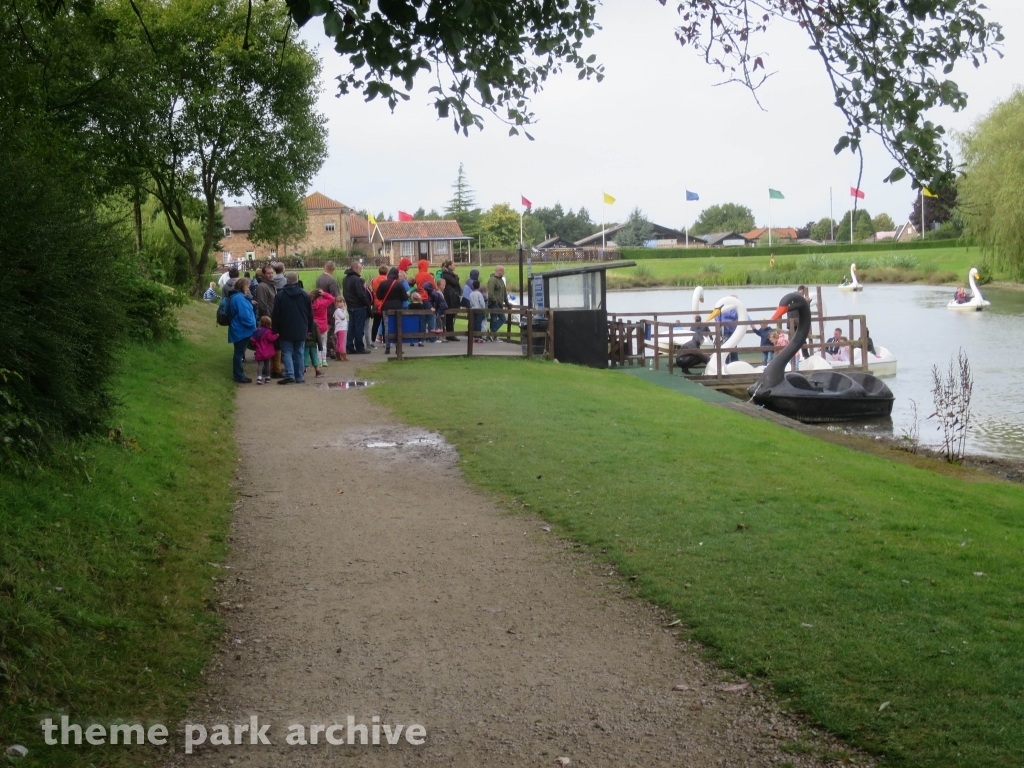 Swan Boats at Lightwater Valley
