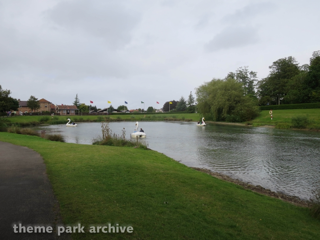 Swan Boats at Lightwater Valley