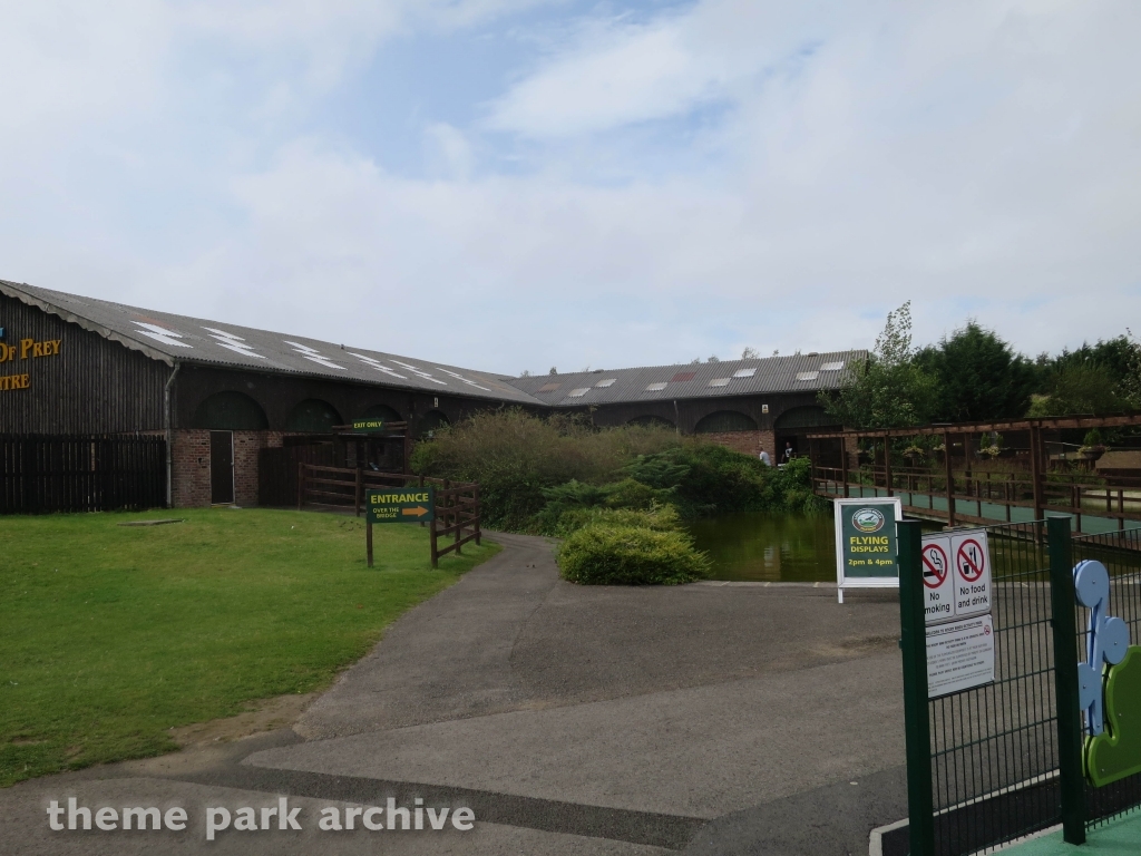 Lightwater Valley Falconry at Lightwater Valley