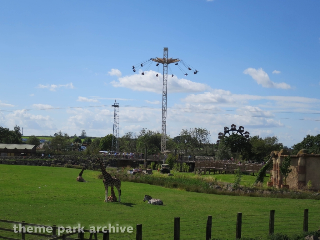 Pterodactyl at Flamingo Land