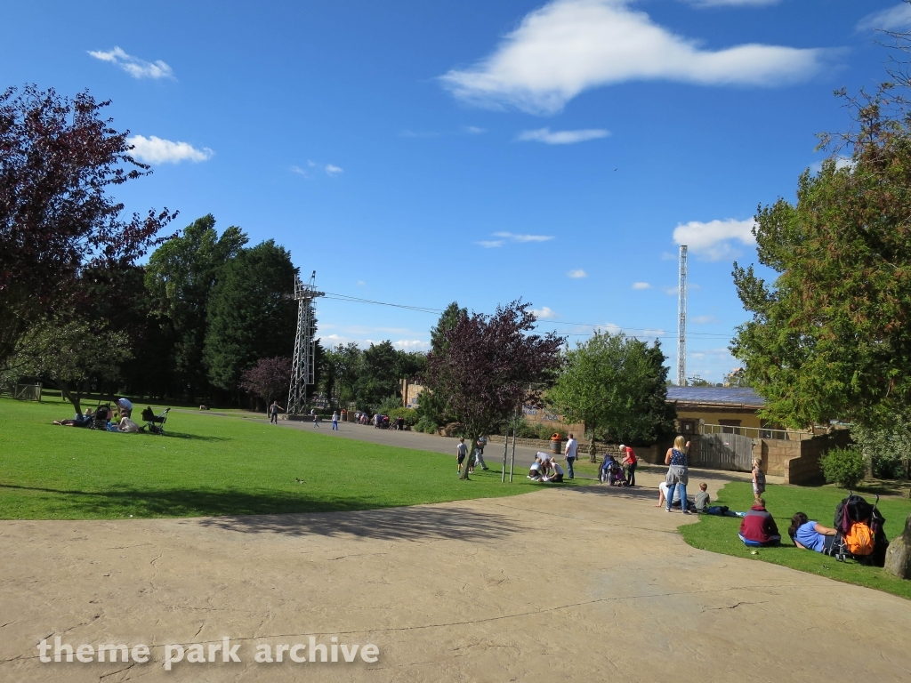 The Lost Kingdom at Flamingo Land