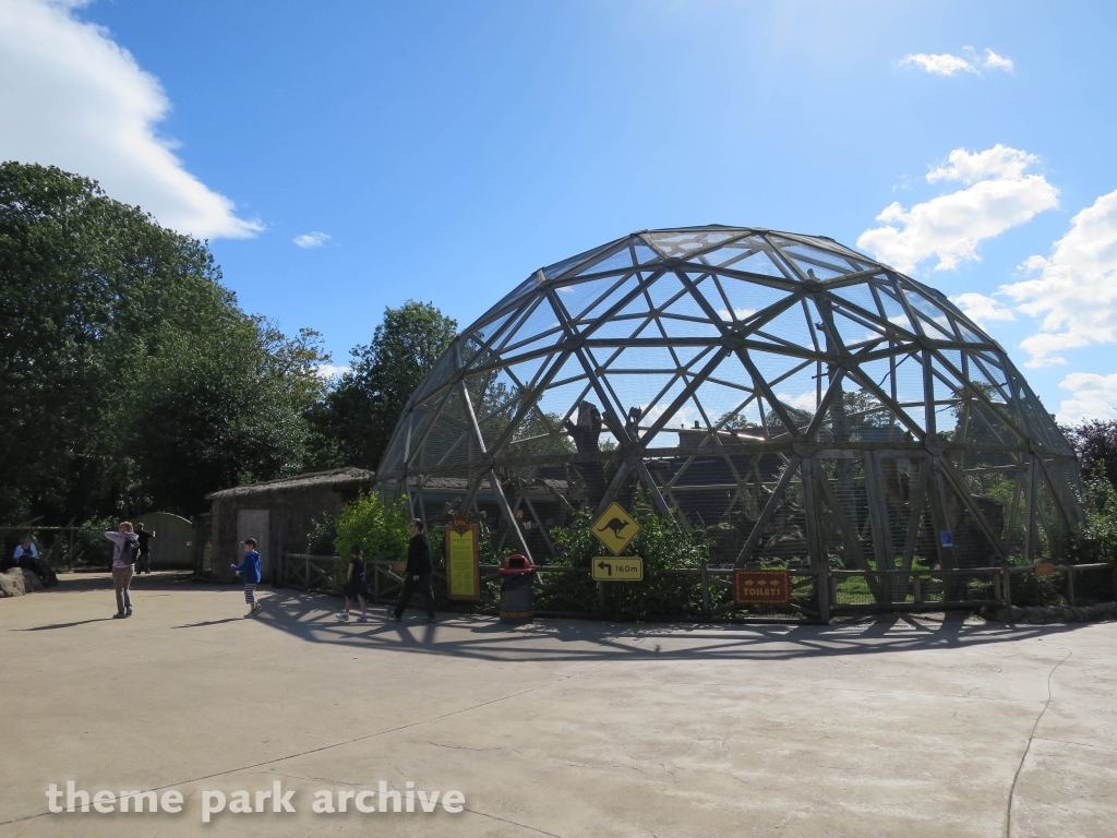 Zoo at Flamingo Land