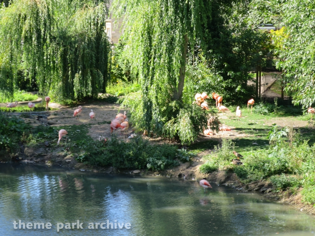 Zoo at Flamingo Land
