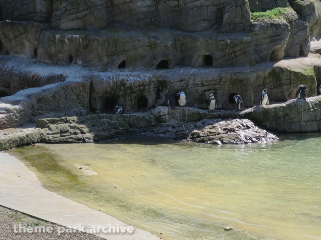 Zoo at Flamingo Land