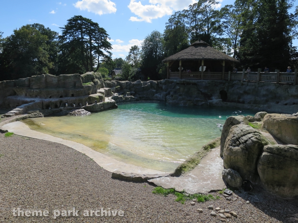 Zoo at Flamingo Land