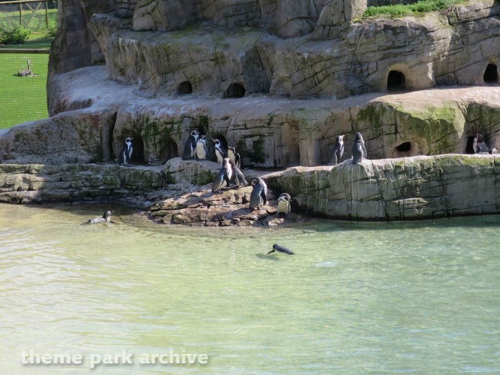 Zoo at Flamingo Land