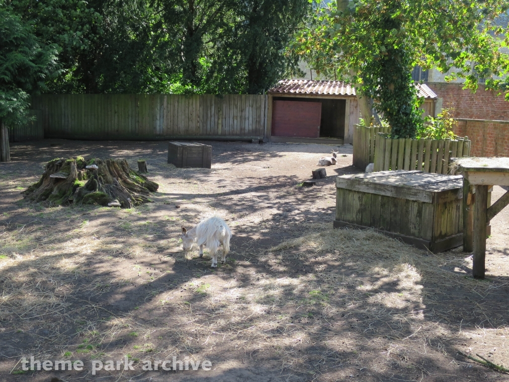 Muddy Duck Farm at Flamingo Land