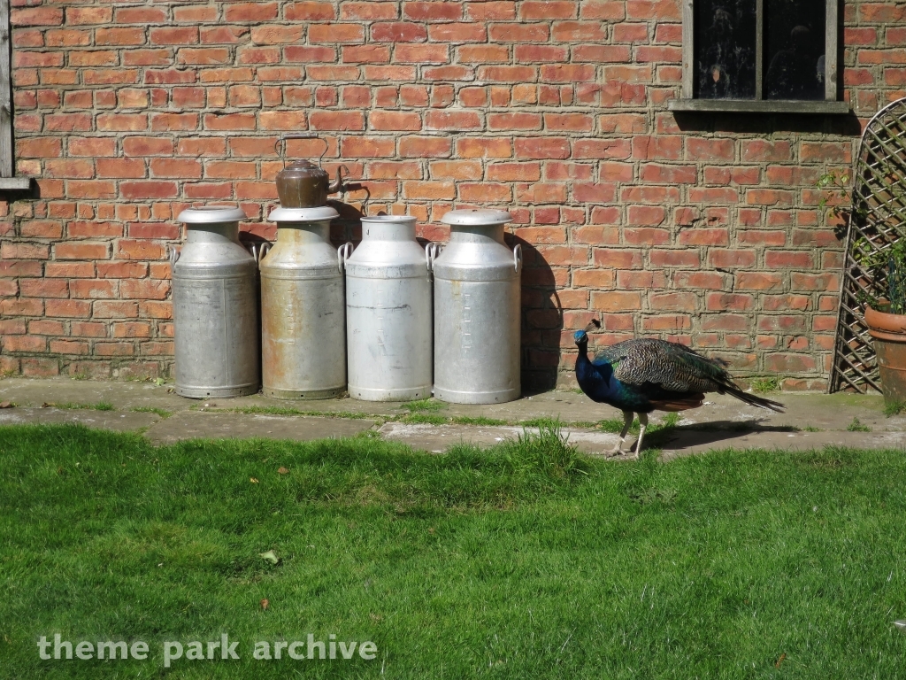 Muddy Duck Farm at Flamingo Land