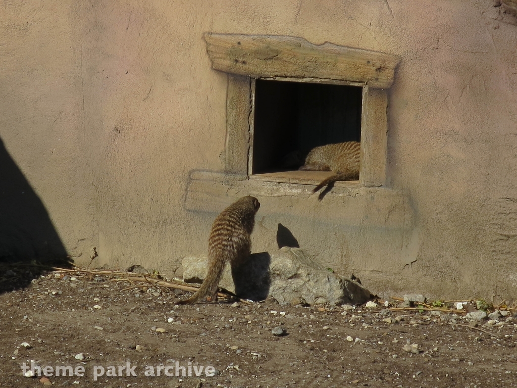 Children's Planet at Flamingo Land