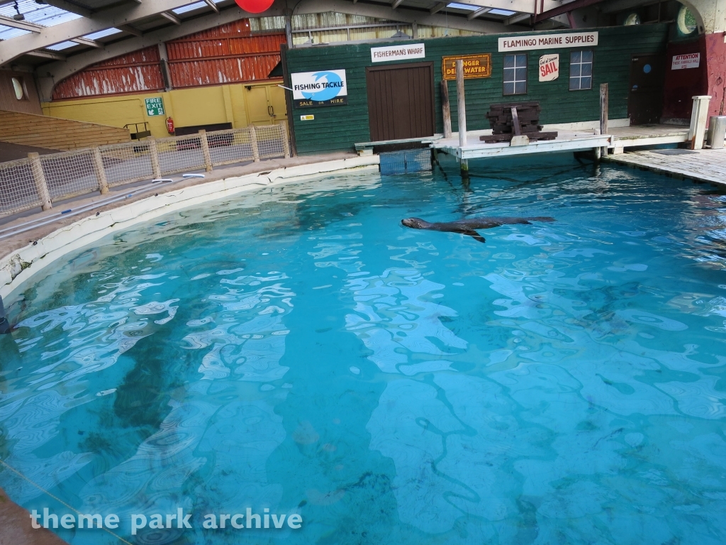 Zoo at Flamingo Land