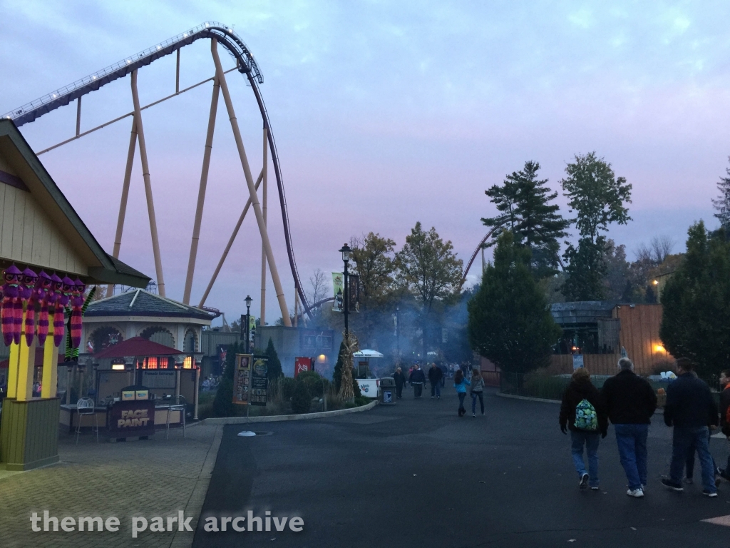Diamondback at Kings Island