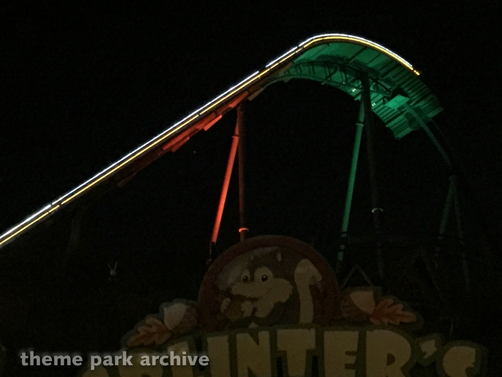 Wild Eagle at Dollywood