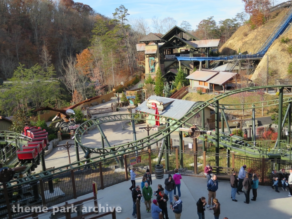 Wild Eagle at Dollywood