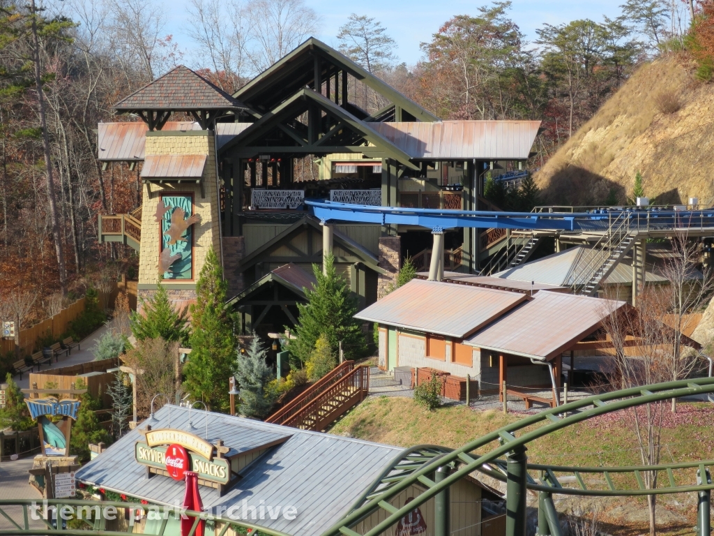 Wild Eagle at Dollywood