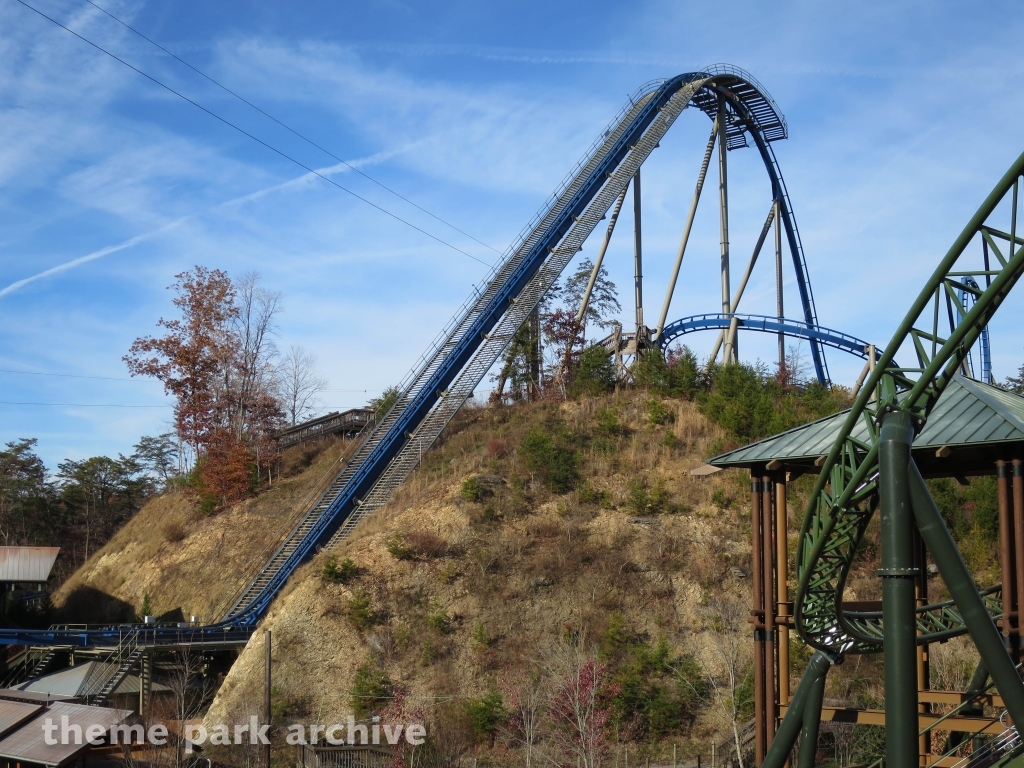Wild Eagle at Dollywood