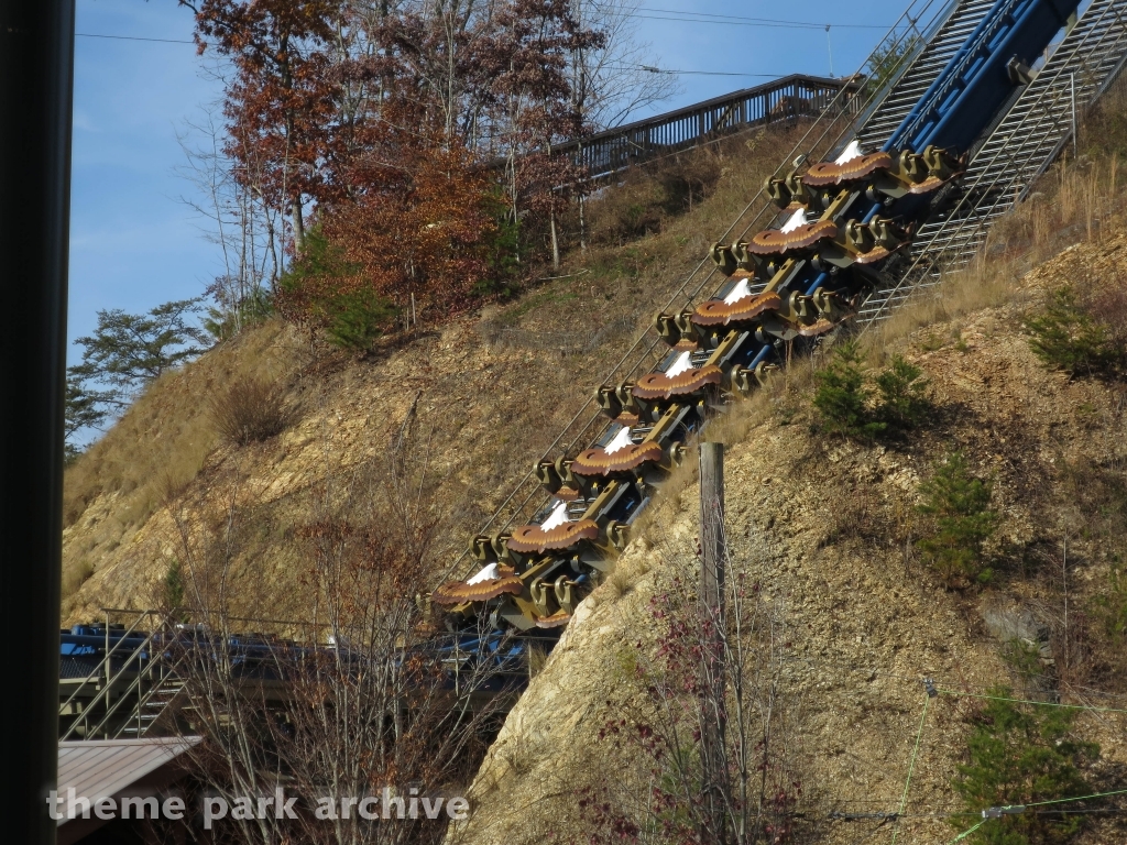 Wild Eagle at Dollywood