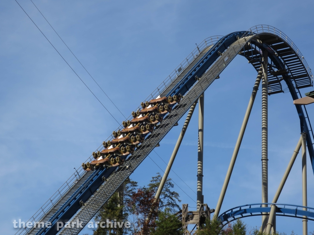 Wild Eagle at Dollywood
