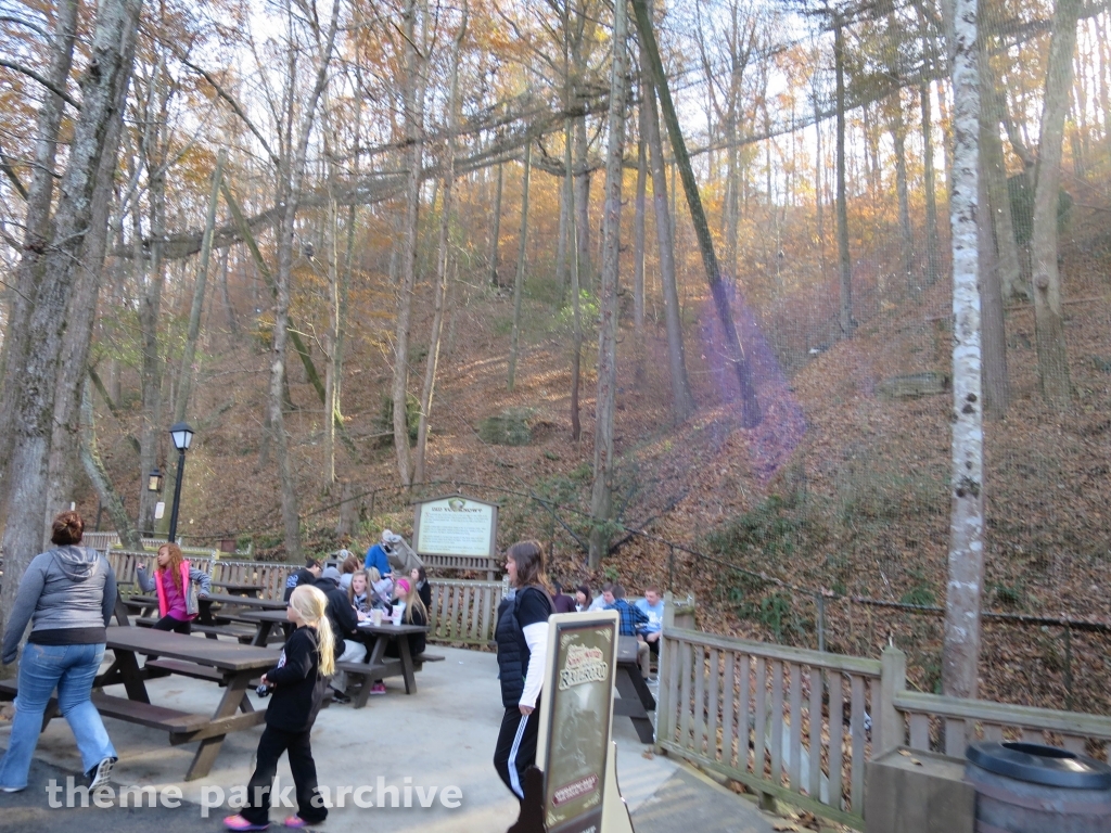 Eagle Mountain at Dollywood