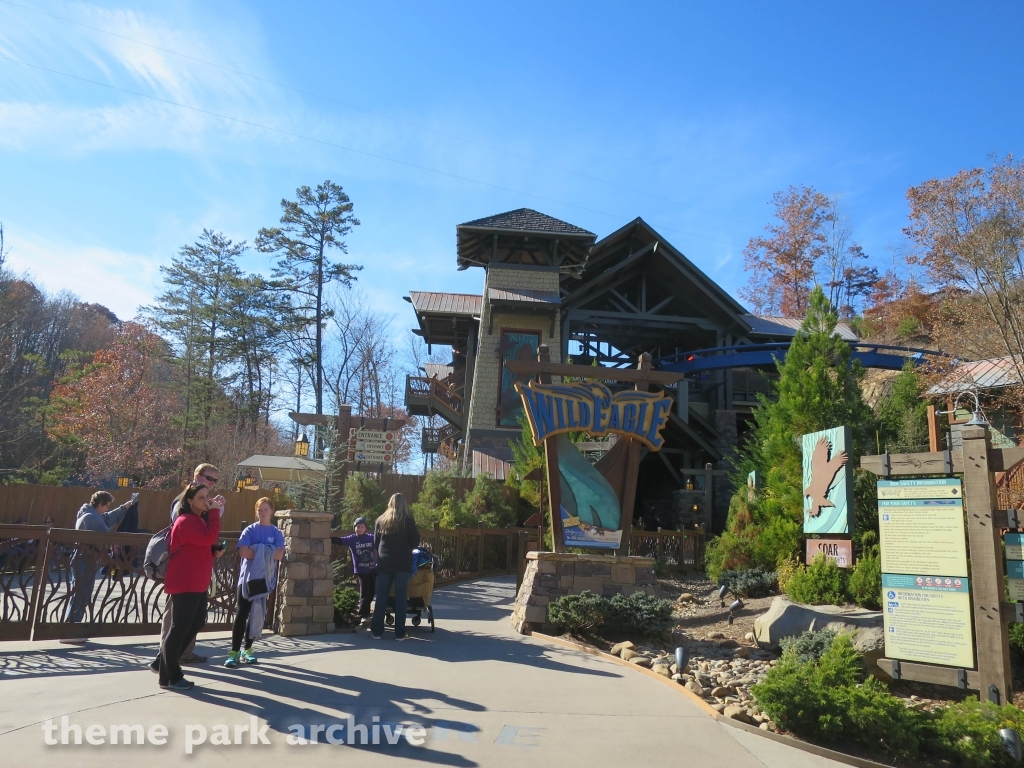 Wild Eagle at Dollywood