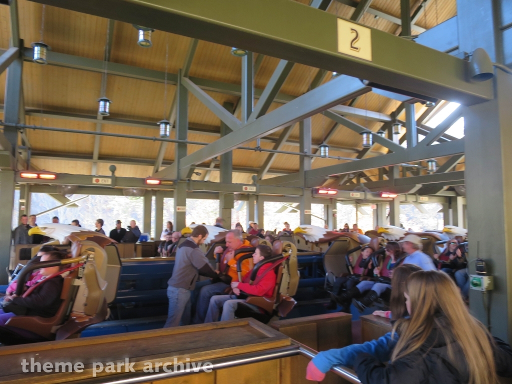 Wild Eagle at Dollywood