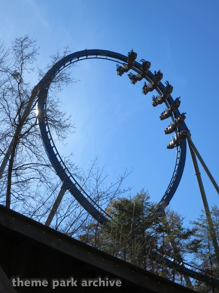 Wild Eagle at Dollywood