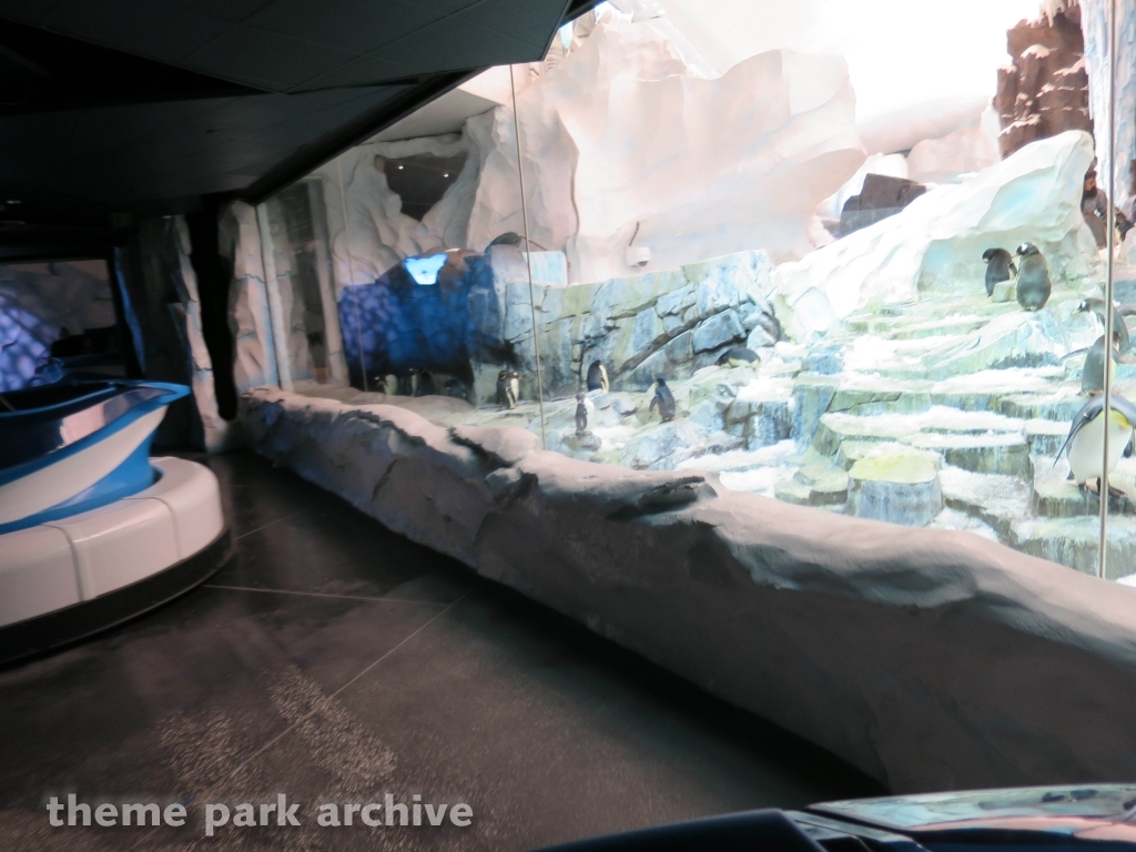 Antarctica Empire of the Penguin at SeaWorld Orlando