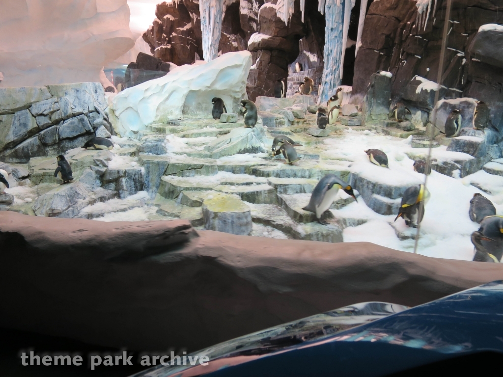 Antarctica Empire of the Penguin at SeaWorld Orlando