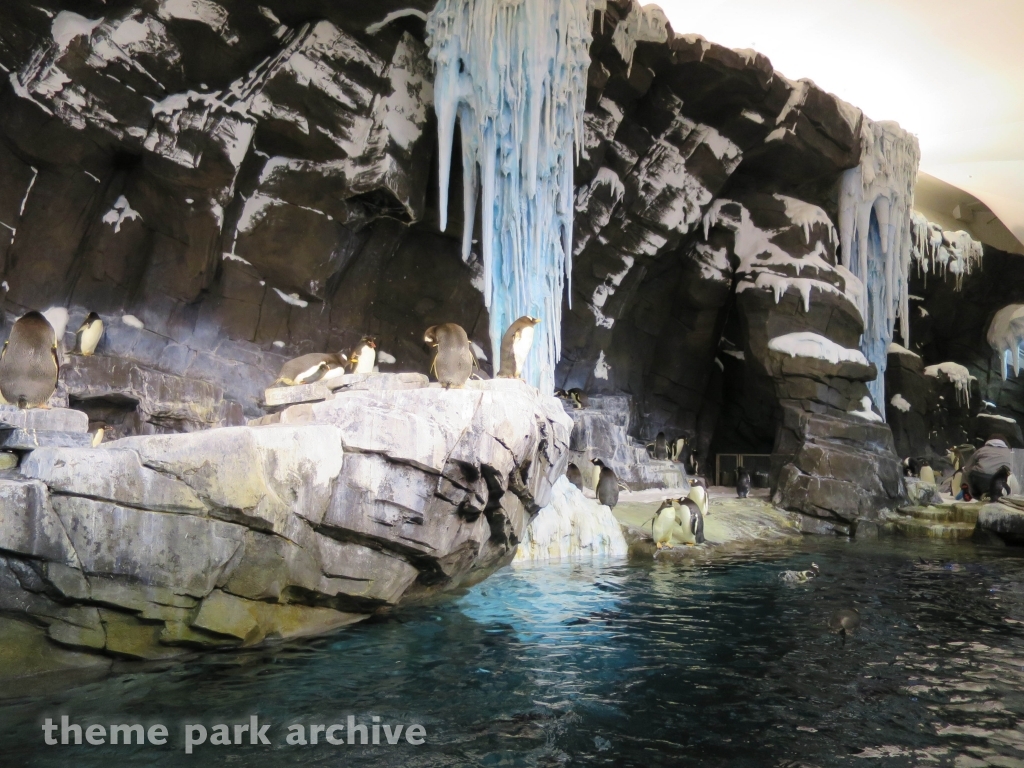 Antarctica Empire of the Penguin at SeaWorld Orlando