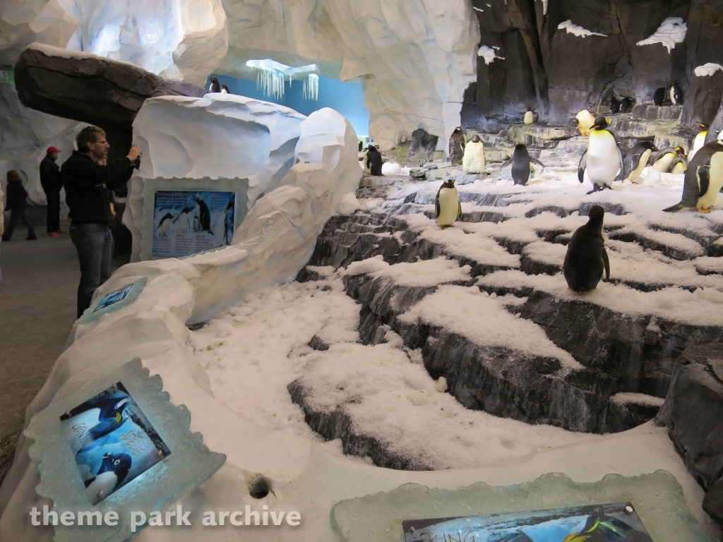 Antarctica Empire of the Penguin at SeaWorld Orlando