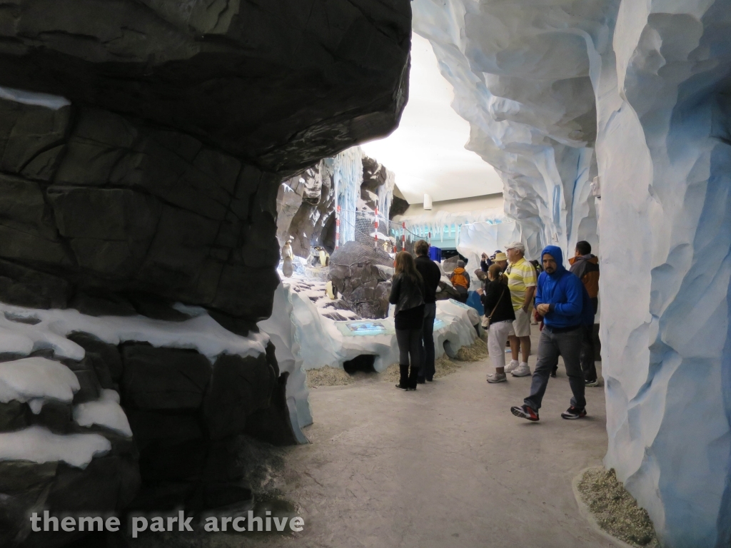 Antarctica Empire of the Penguin at SeaWorld Orlando