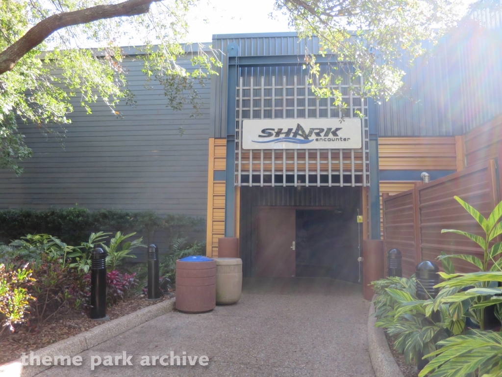Shark Encounter at SeaWorld Orlando