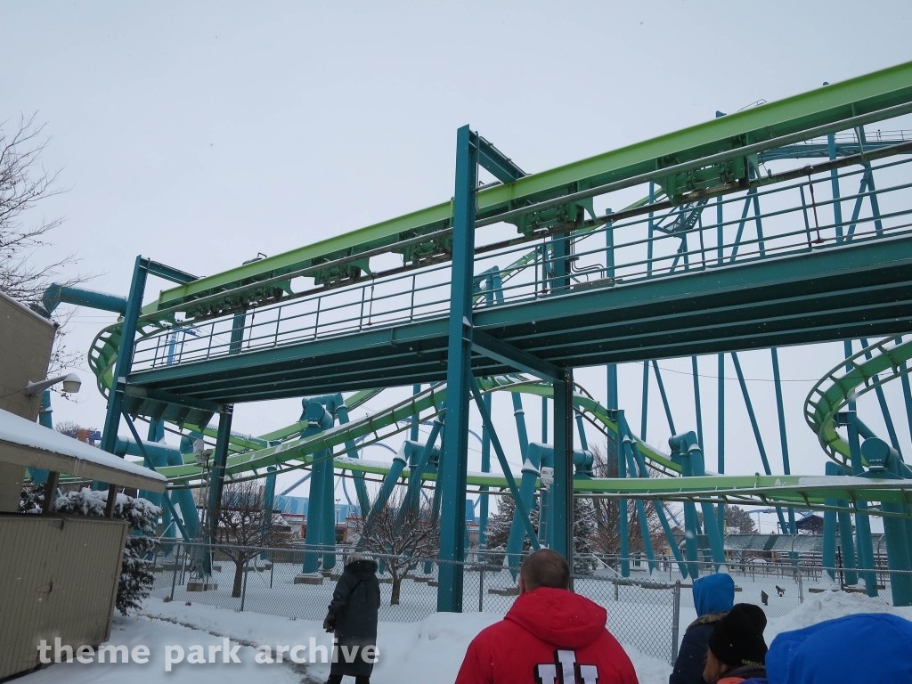 Raptor at Cedar Point