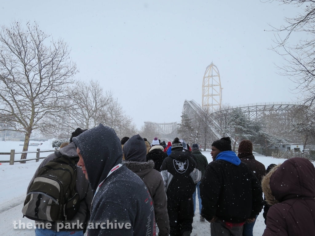 Gemini at Cedar Point