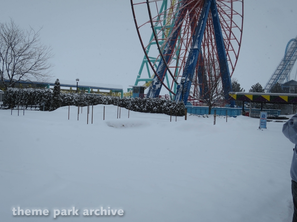 Calypso at Cedar Point