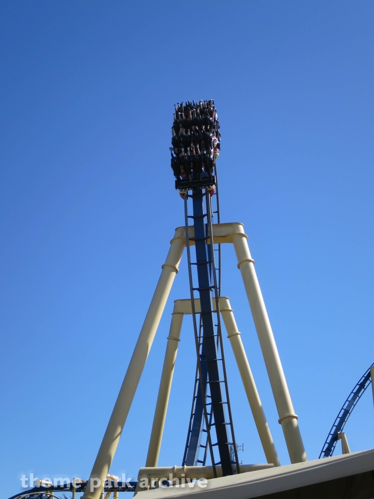 Montu at Busch Gardens Tampa