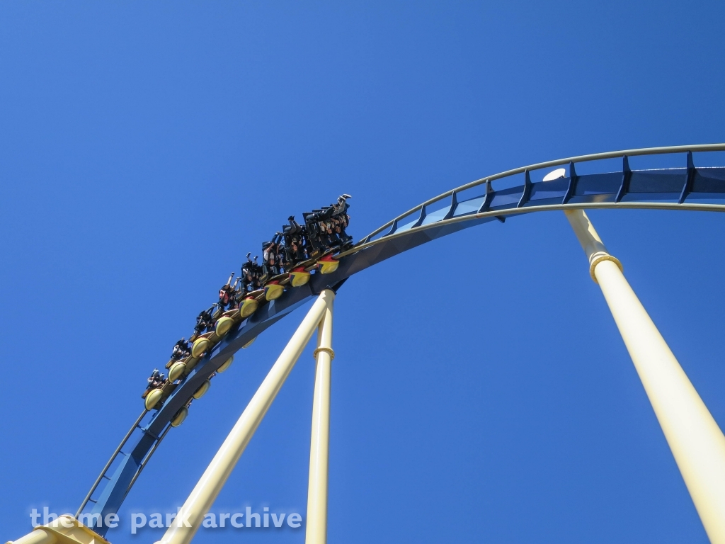 Montu at Busch Gardens Tampa