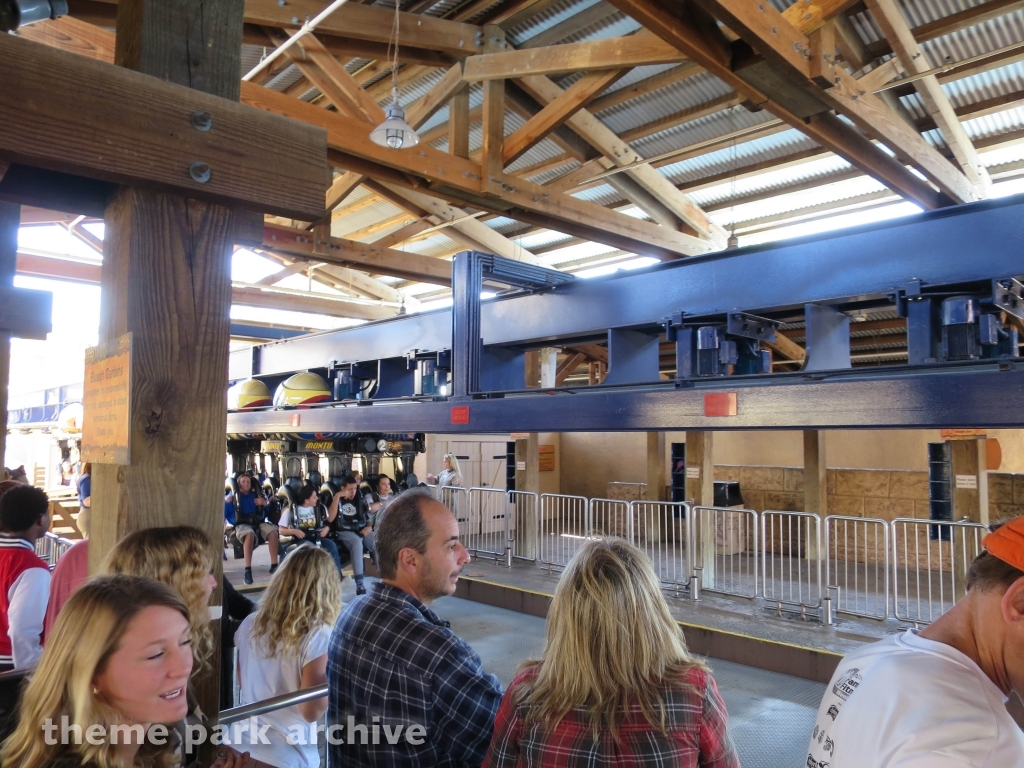 Montu at Busch Gardens Tampa