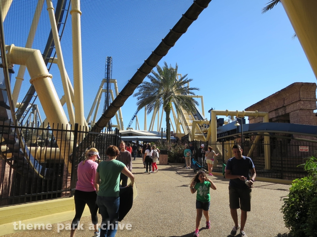 Montu at Busch Gardens Tampa
