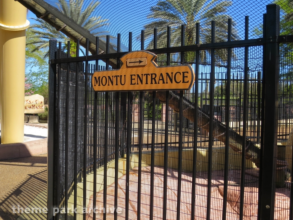 Montu at Busch Gardens Tampa