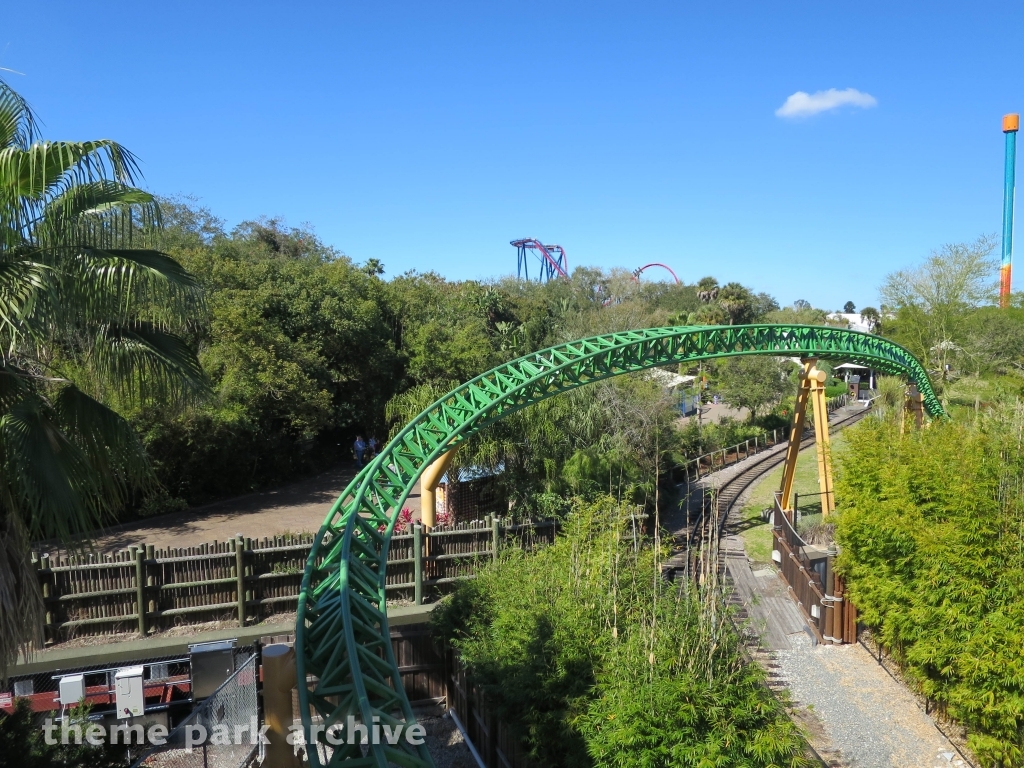 Cheetah Hunt at Busch Gardens Tampa