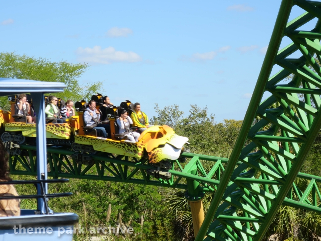 Cheetah Hunt at Busch Gardens Tampa