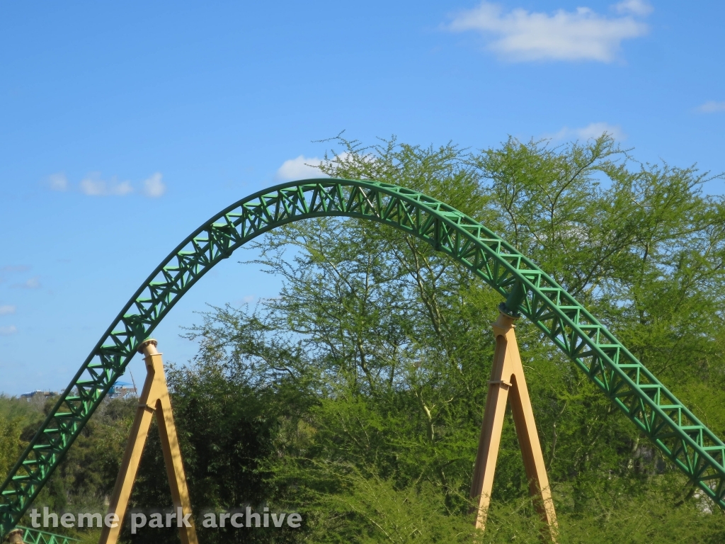 Cheetah Hunt at Busch Gardens Tampa