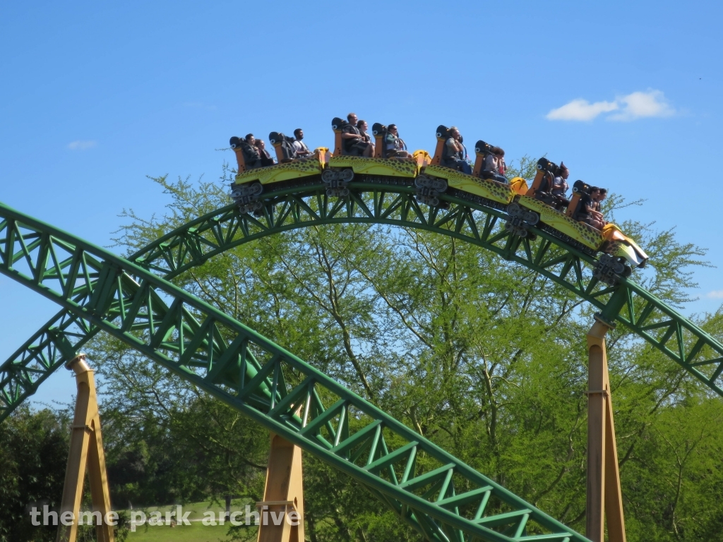 Cheetah Hunt at Busch Gardens Tampa