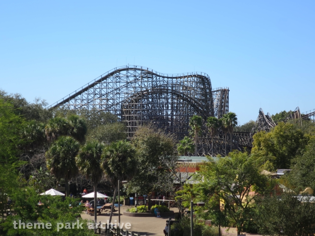 Gwazi at Busch Gardens Tampa