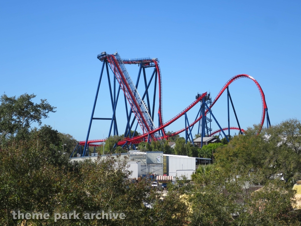 Sheikra at Busch Gardens Tampa