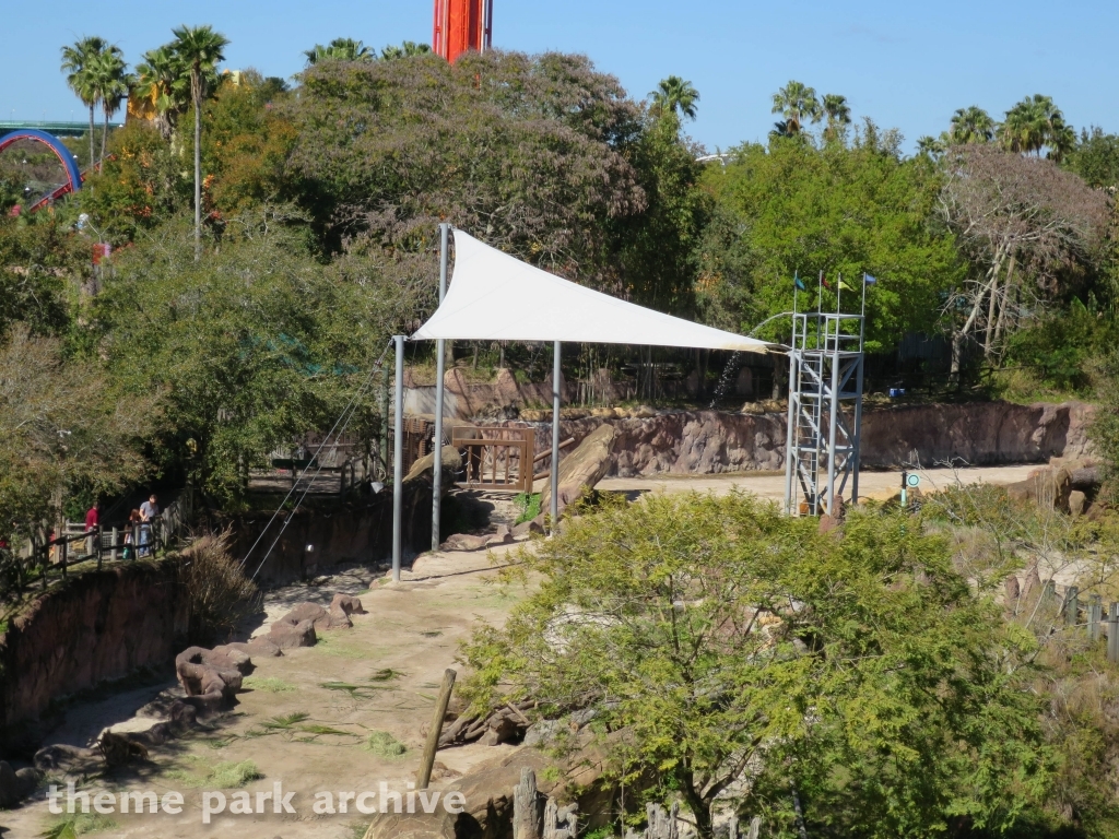Edge of Africa at Busch Gardens Tampa
