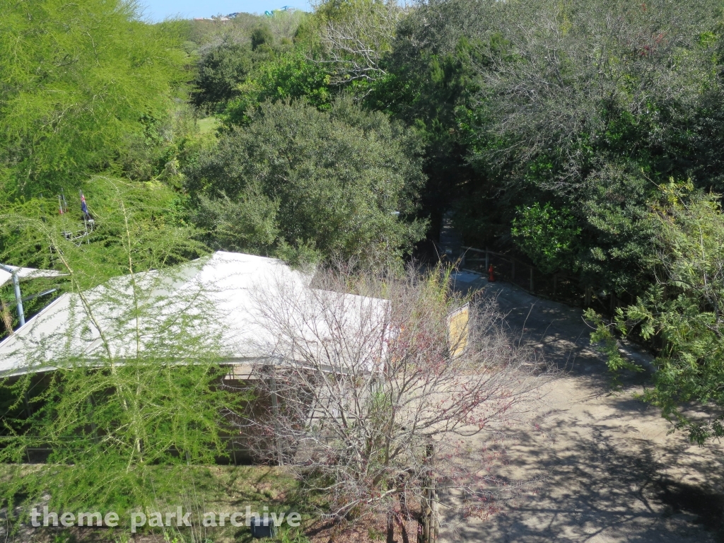 Edge of Africa at Busch Gardens Tampa