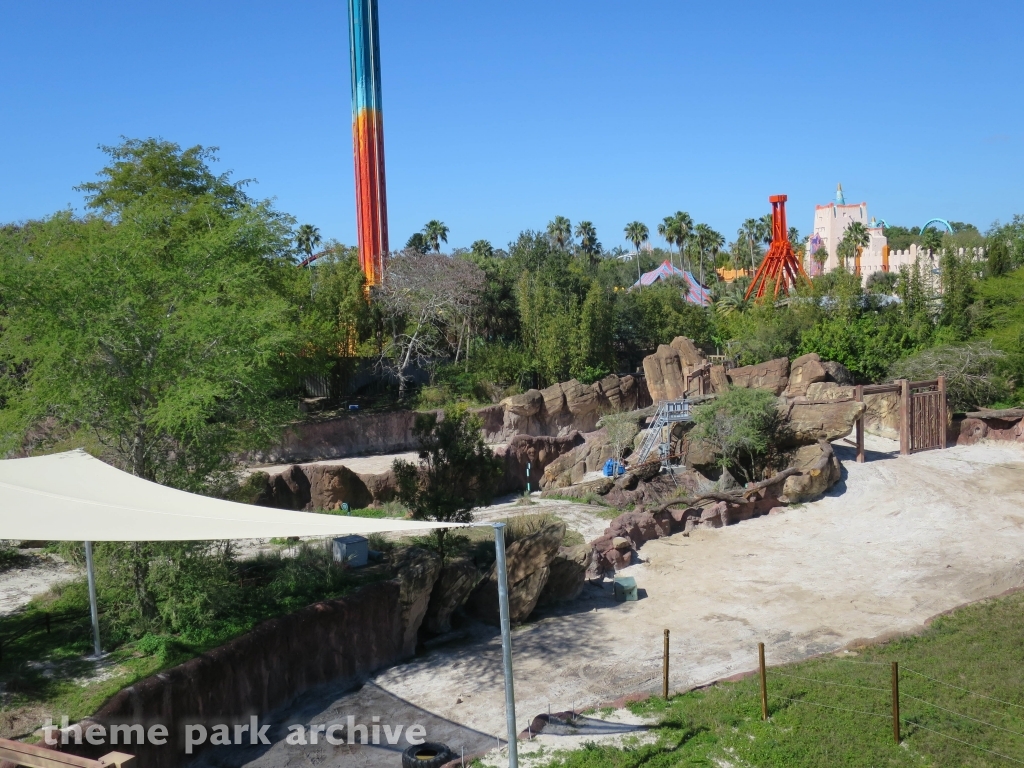 Edge of Africa at Busch Gardens Tampa