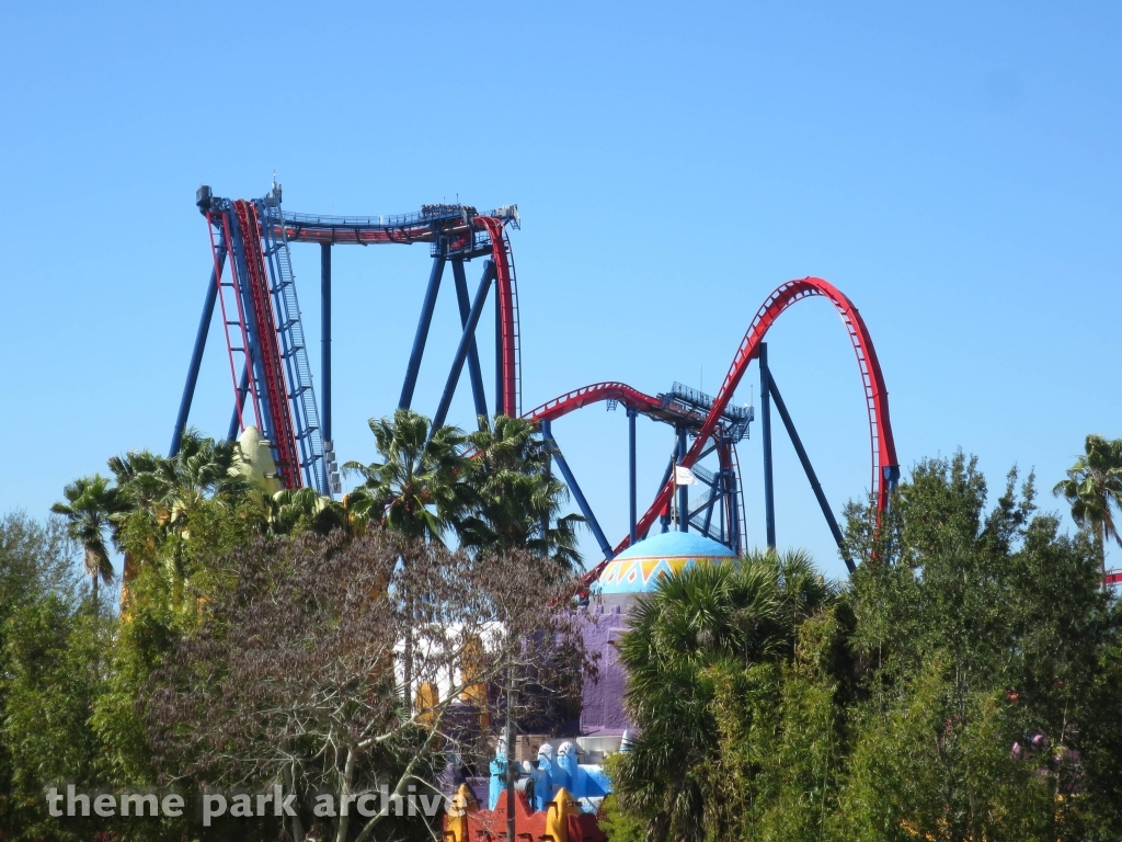 Sheikra at Busch Gardens Tampa